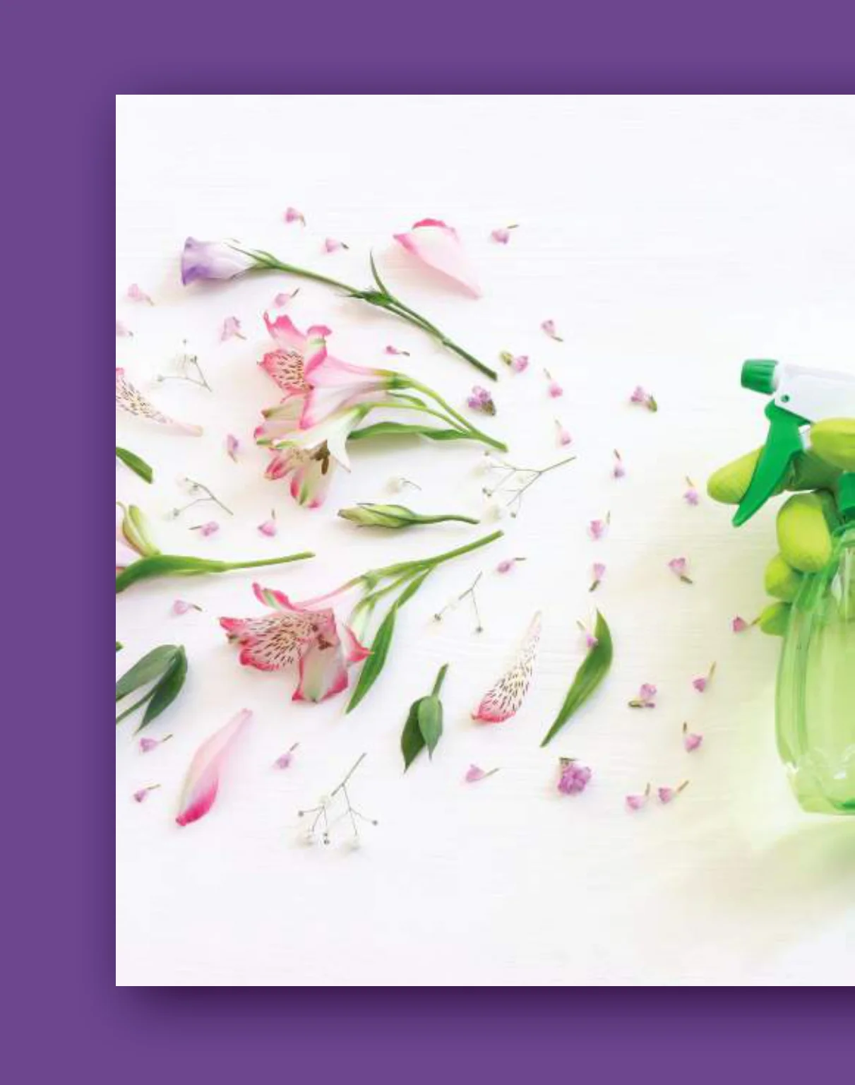 Roda & Idea katalog NAJ NAJ PONUDA 9.4-5.5.2026.