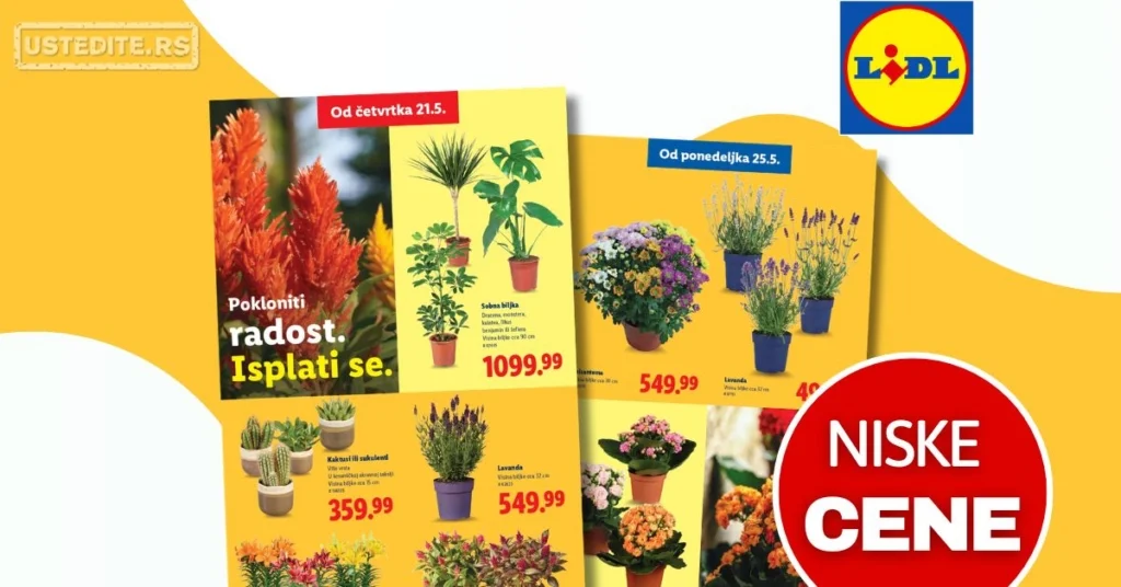 Lidl katalog PREHRANA/NEPREHRANA 21-27.5.2026.
