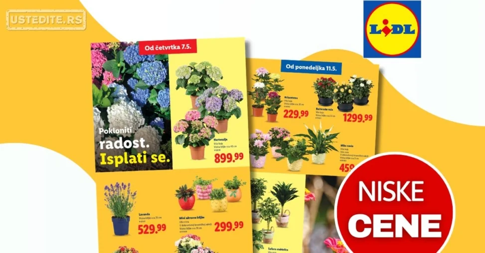 Lidl katalog PREHRANA/NEPREHRANA 7-13.5.2026.