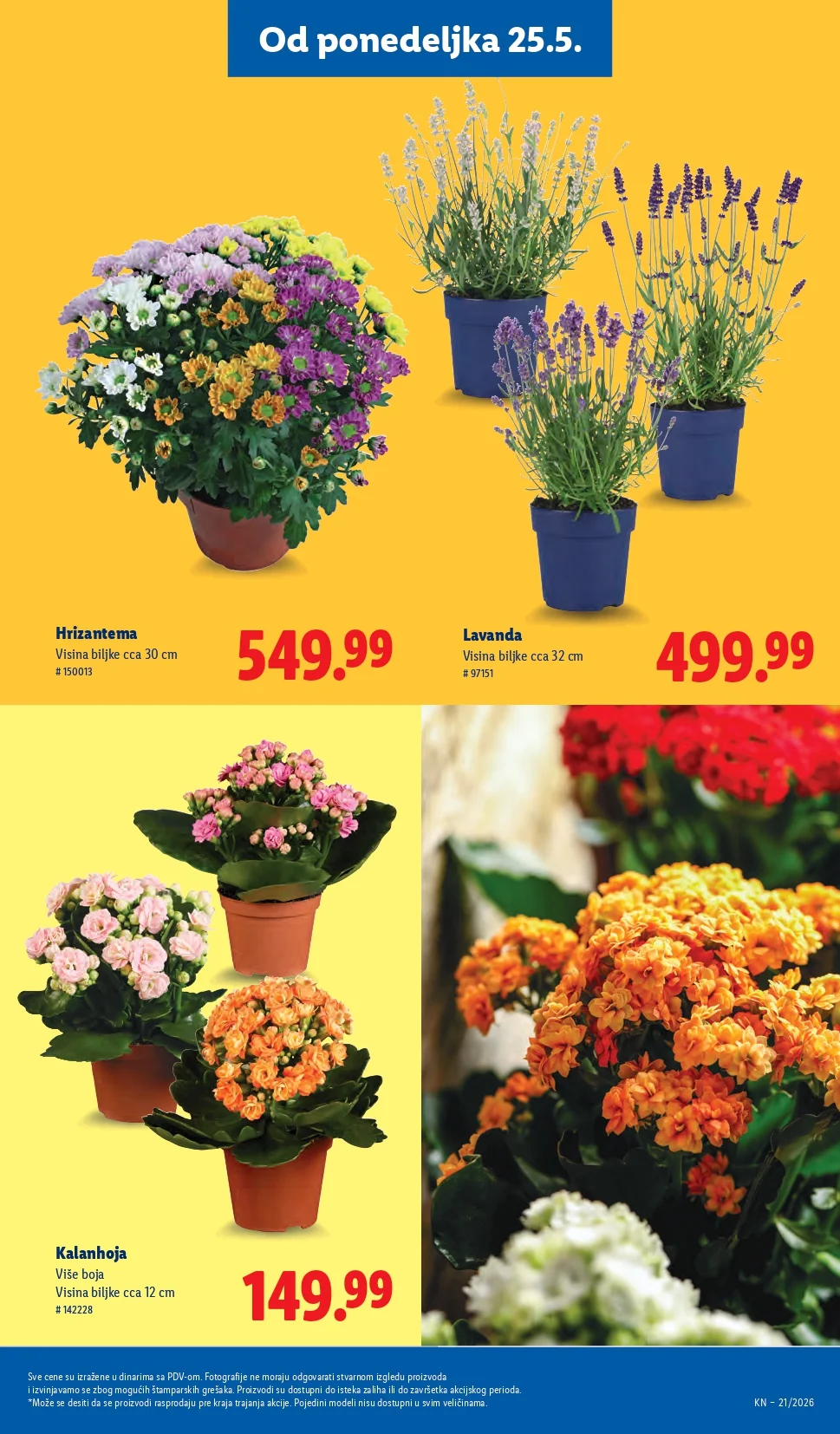 Lidl katalog PREHRANA/NEPREHRANA 21-27.5.2026.