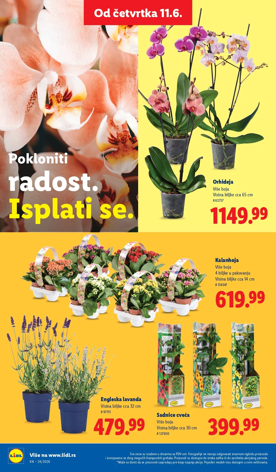 Lidl katalog 11-17-6.2026. - str. 62