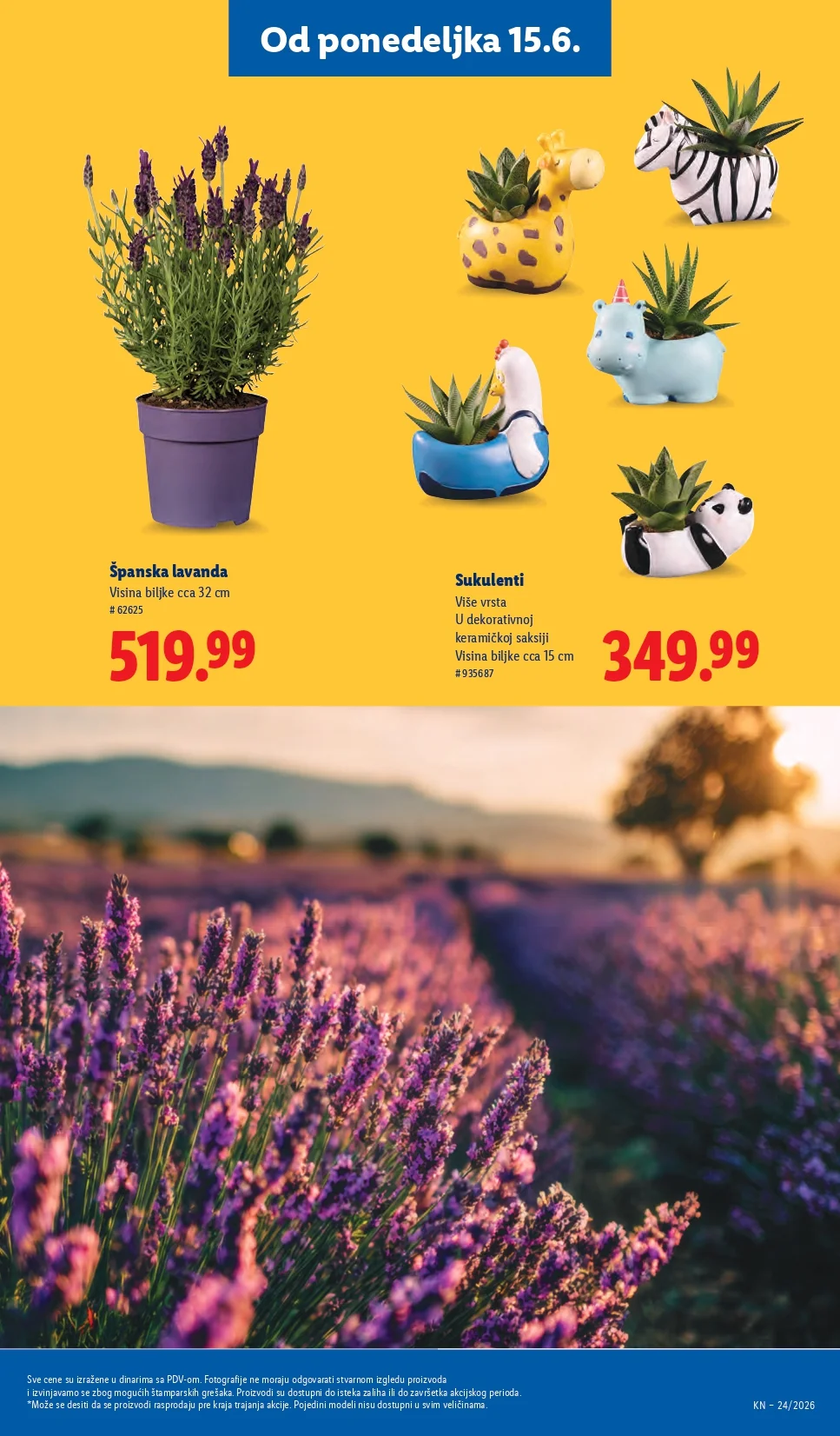 Lidl katalog 11-17-6.2026. - str. 63
