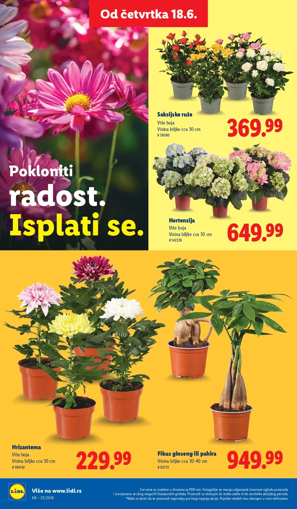 Lidl katalog 18-24.6.2026. - str. 68