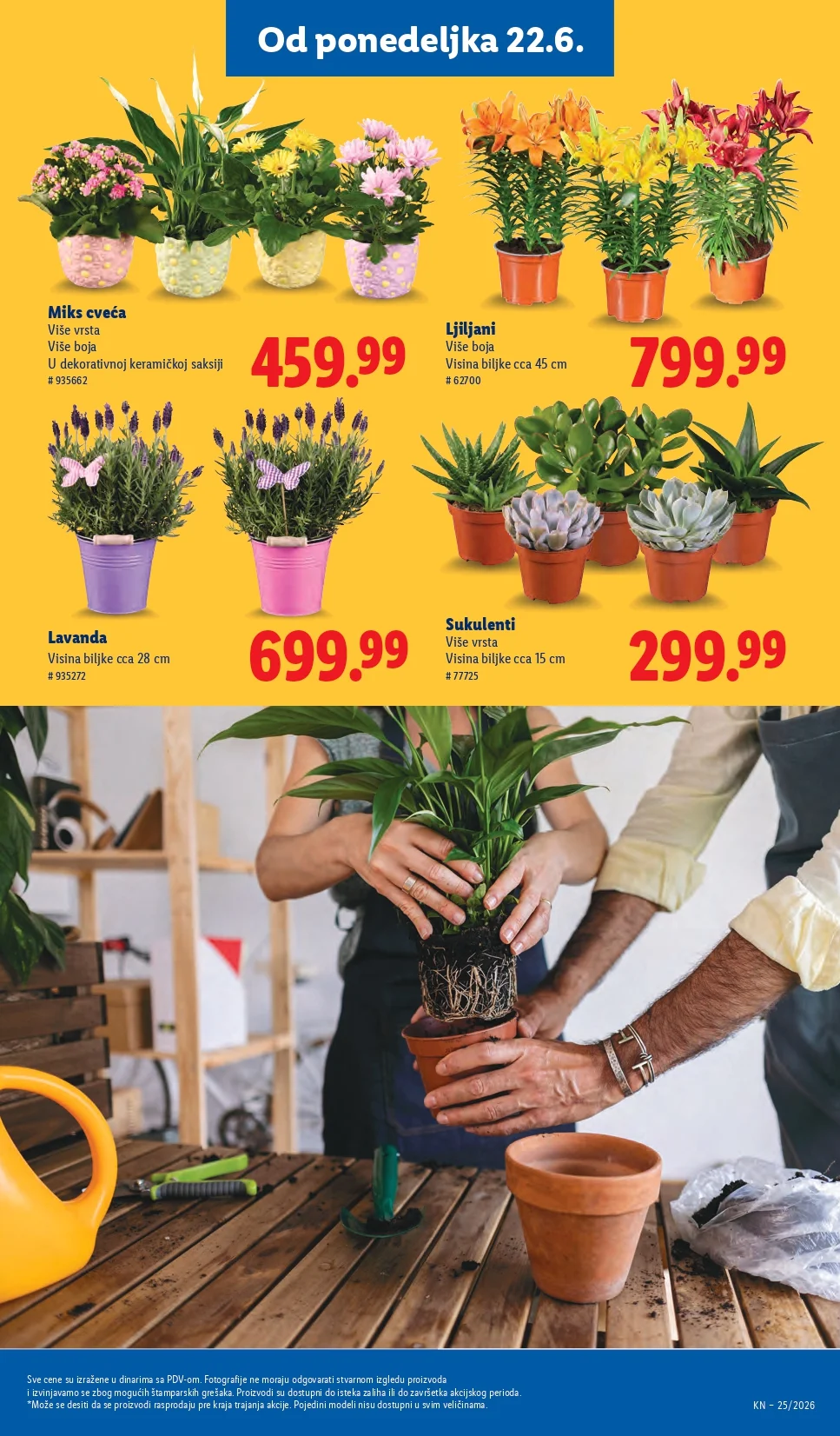 Lidl katalog 18-24.6.2026. - str. 69
