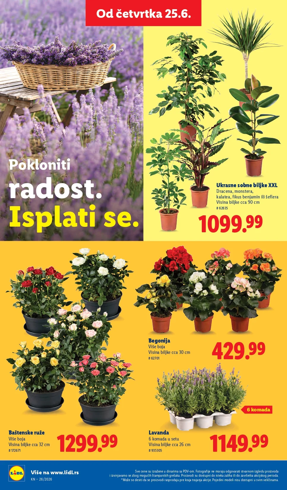 Lidl katalog 26.6-1.7.2026. - str. 74