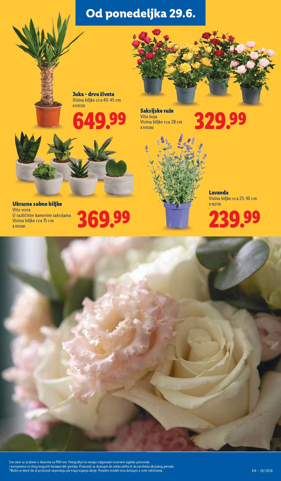 Lidl katalog 26.6-1.7.2026. - str. 75
