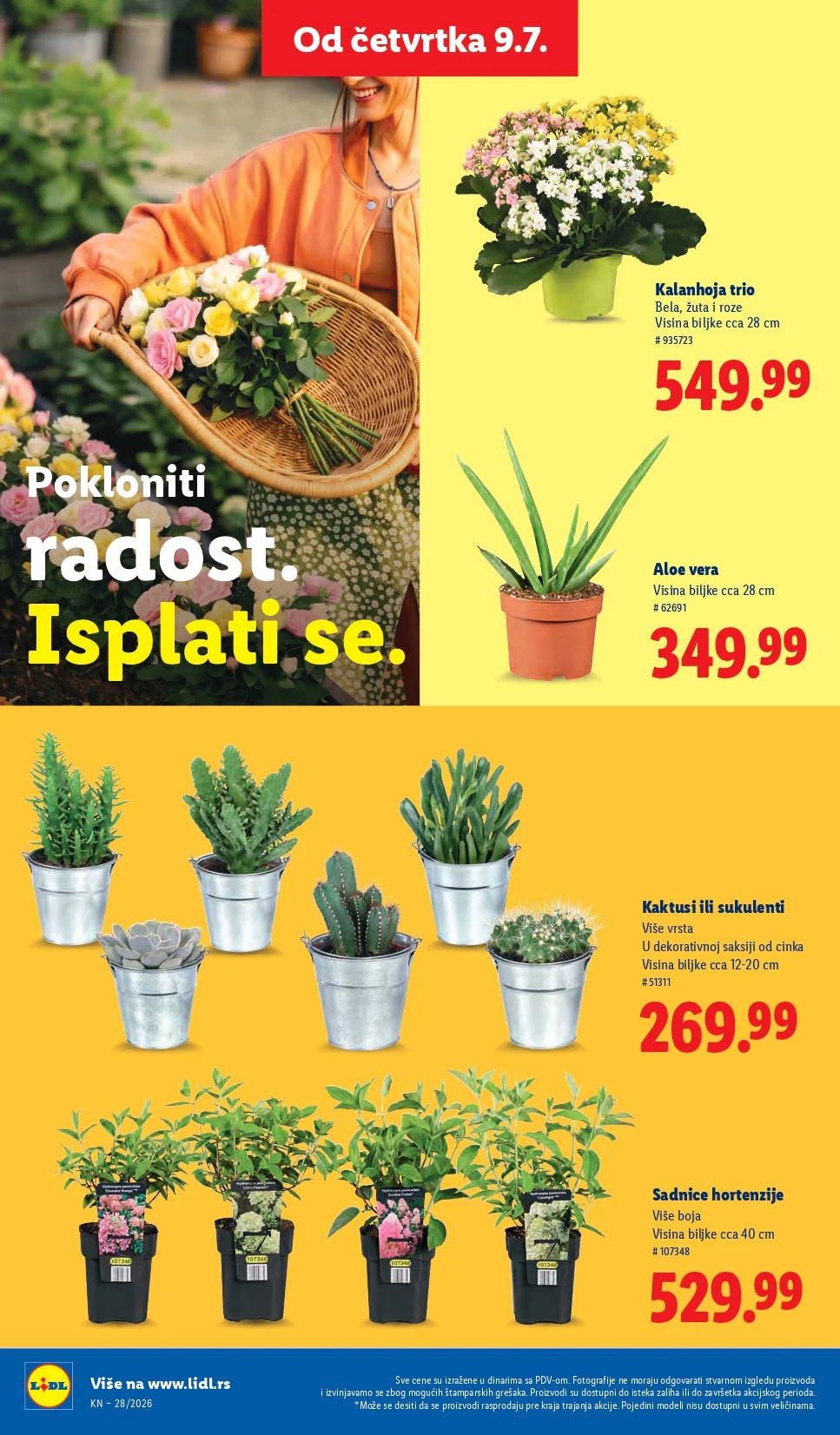 Lidl katalog 9-15.7.2026. - str. 62