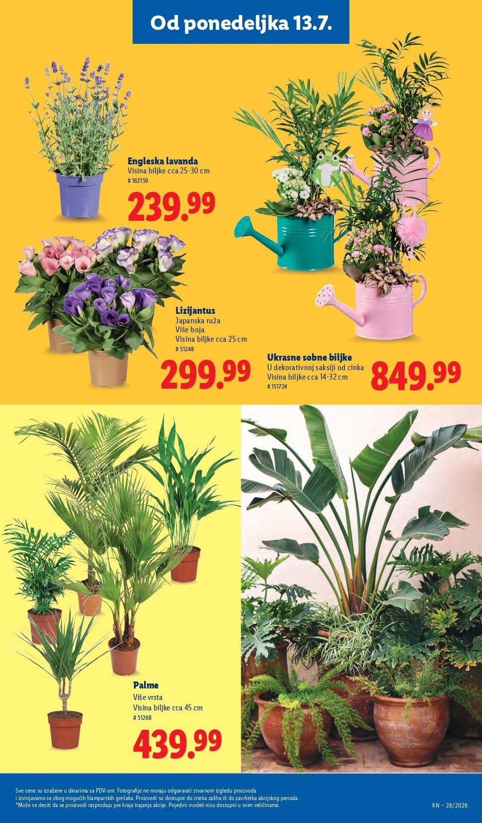 Lidl katalog 9-15.7.2026. - str. 63