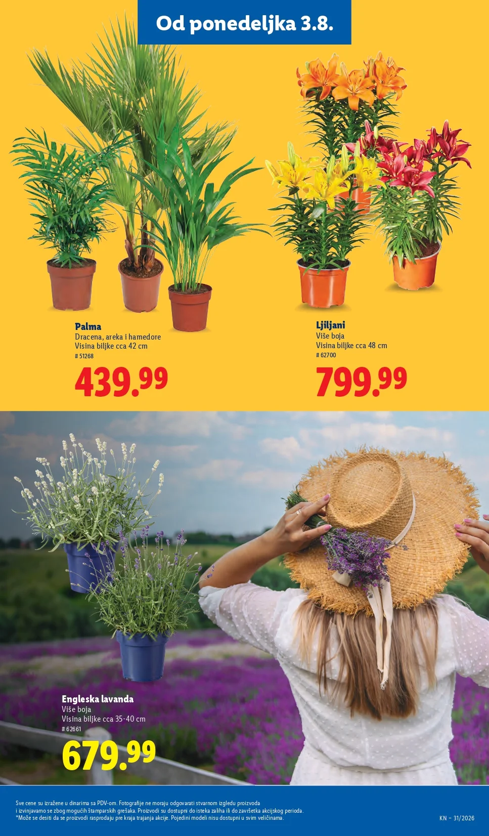 Lidl katalog 30.7-5.8.2026. - str. 71