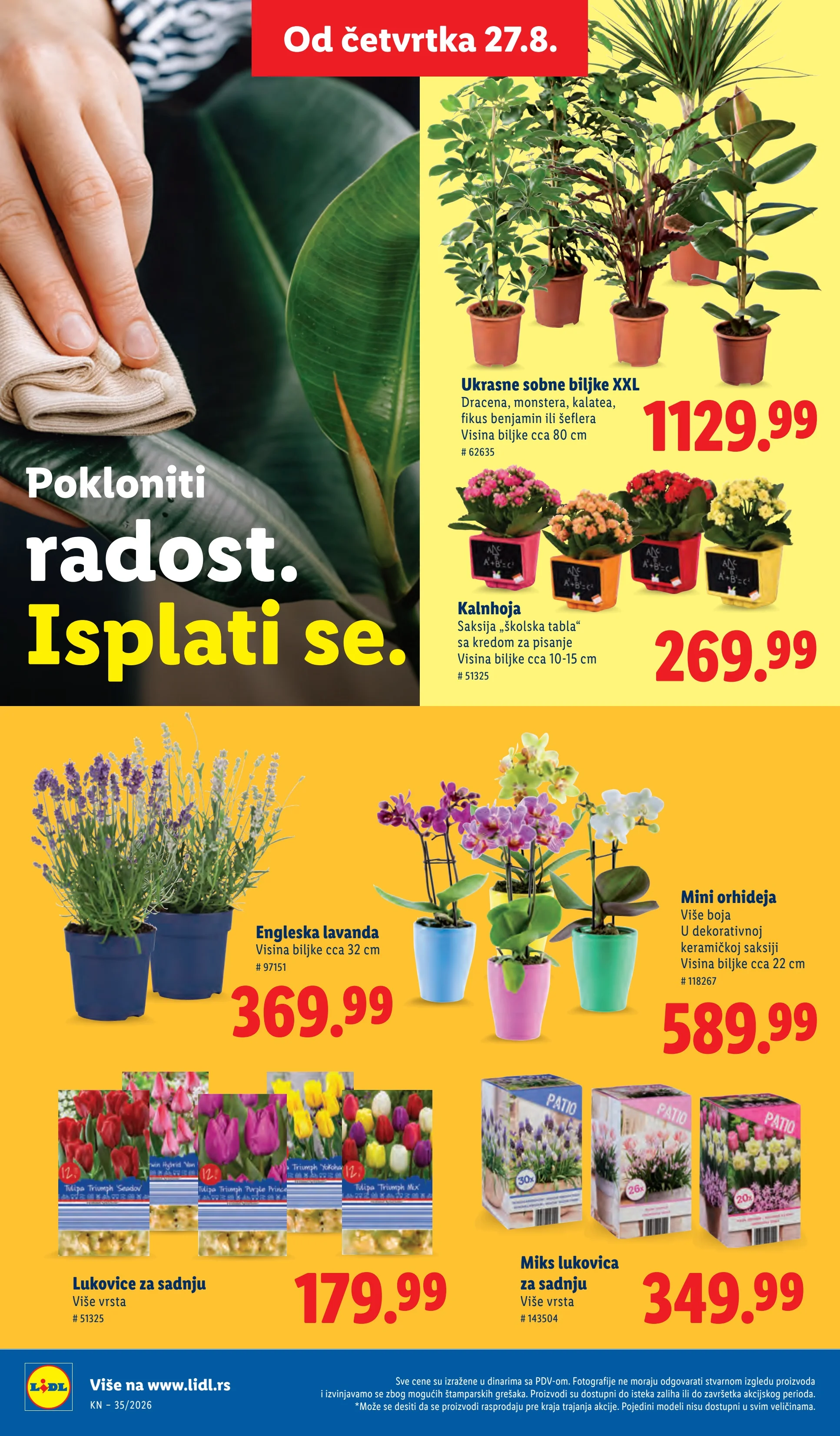 Lidl katalog 27.8-2.9.2026. - str. 68
