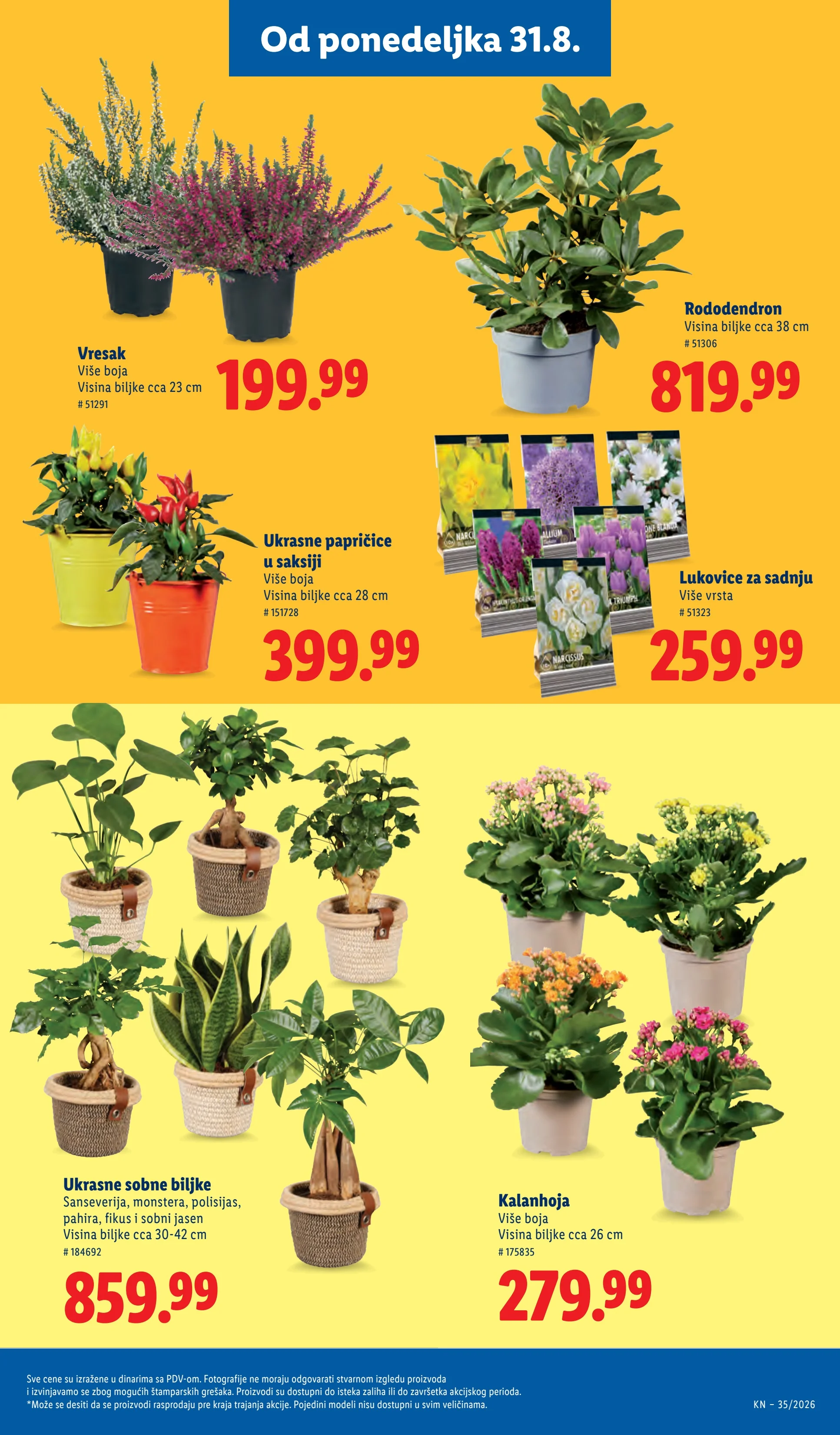 Lidl katalog 27.8-2.9.2026. - str. 69