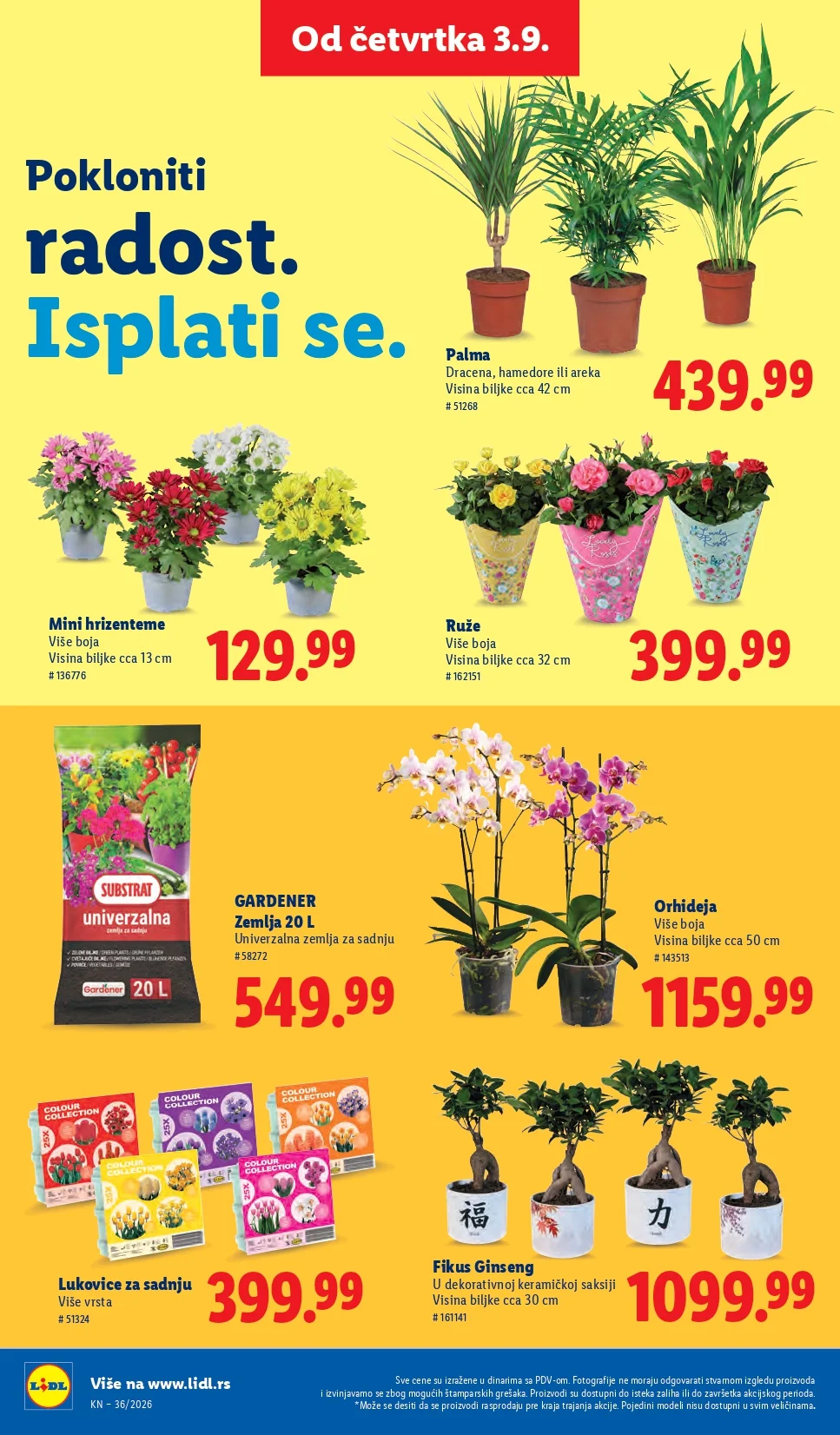 Lidl katalog 3-9.9.2026. - str. 82