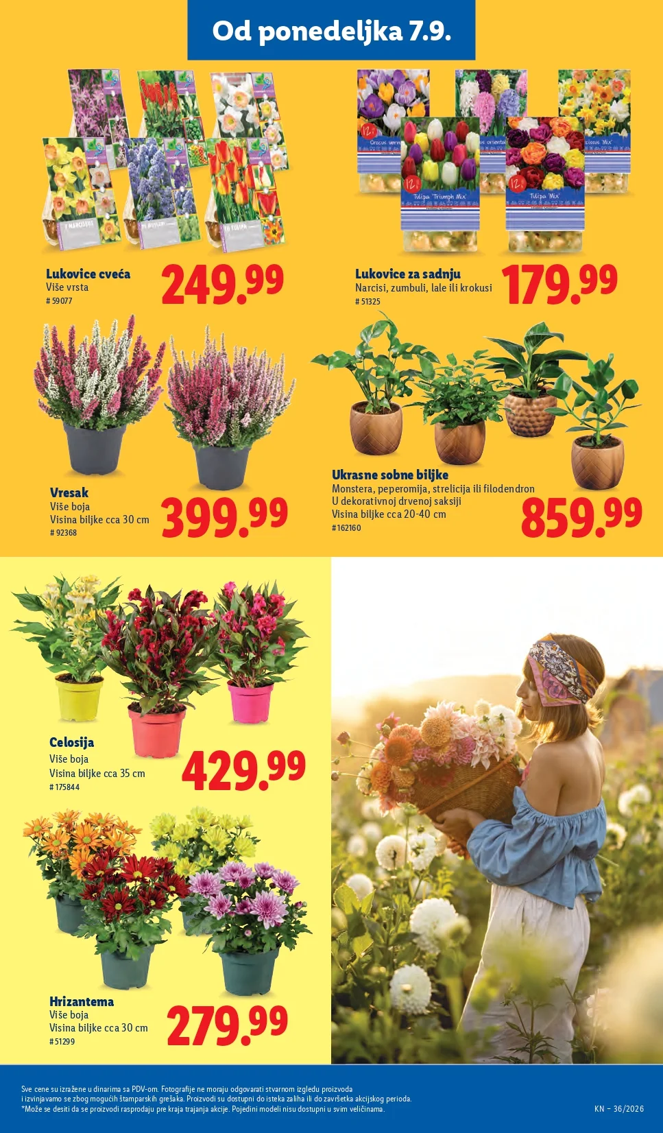 Lidl katalog 3-9.9.2026. - str. 83