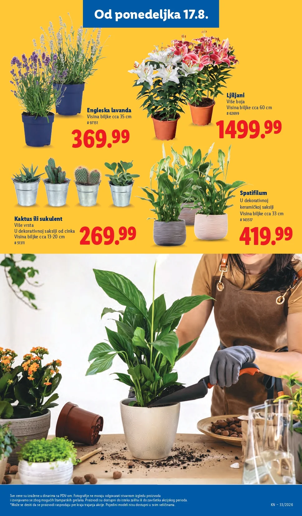 Lidl katalog 13-19.8.2026. - str. 75