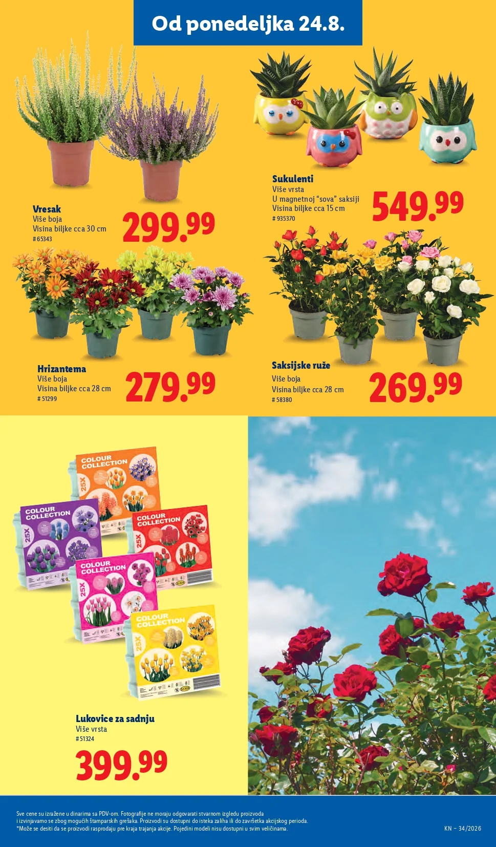 Lidl katalog 20-26.8.2026. - str. 79
