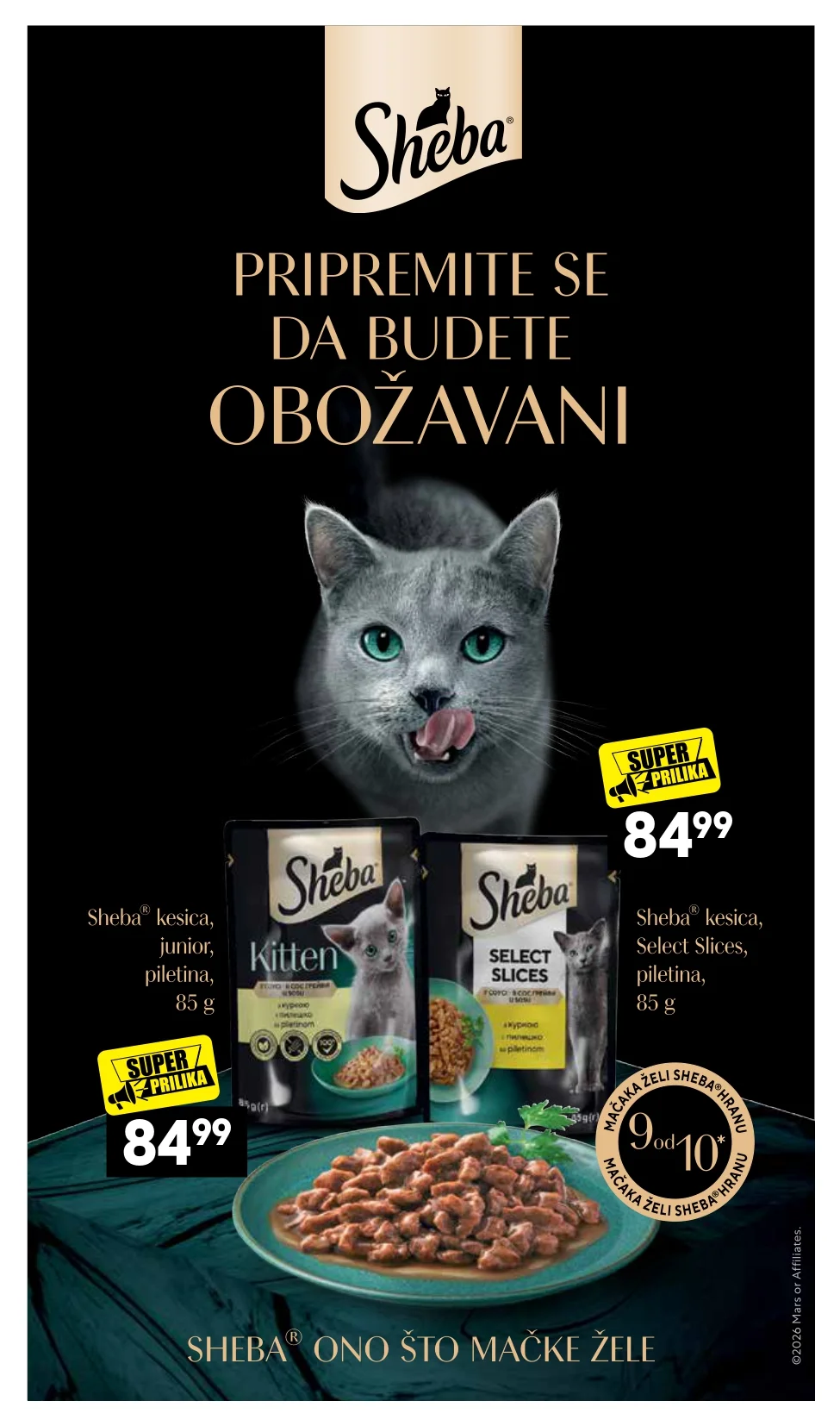 Roda & Idea katalog KUĆNI LJUBIMCI 28.9-25.10.2026. - str. 15