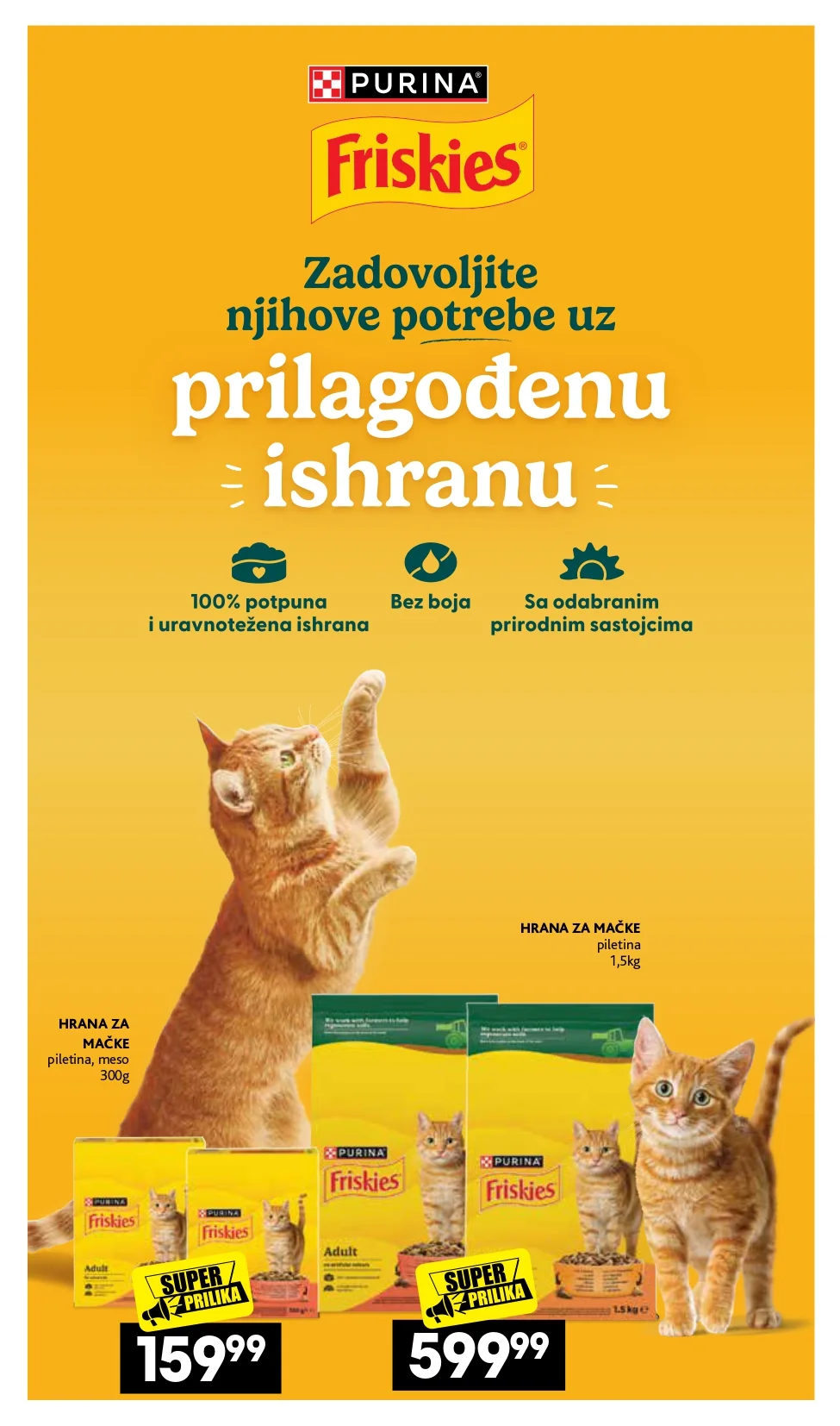 Roda & Idea katalog KUĆNI LJUBIMCI 28.9-25.10.2026. - str. 16
