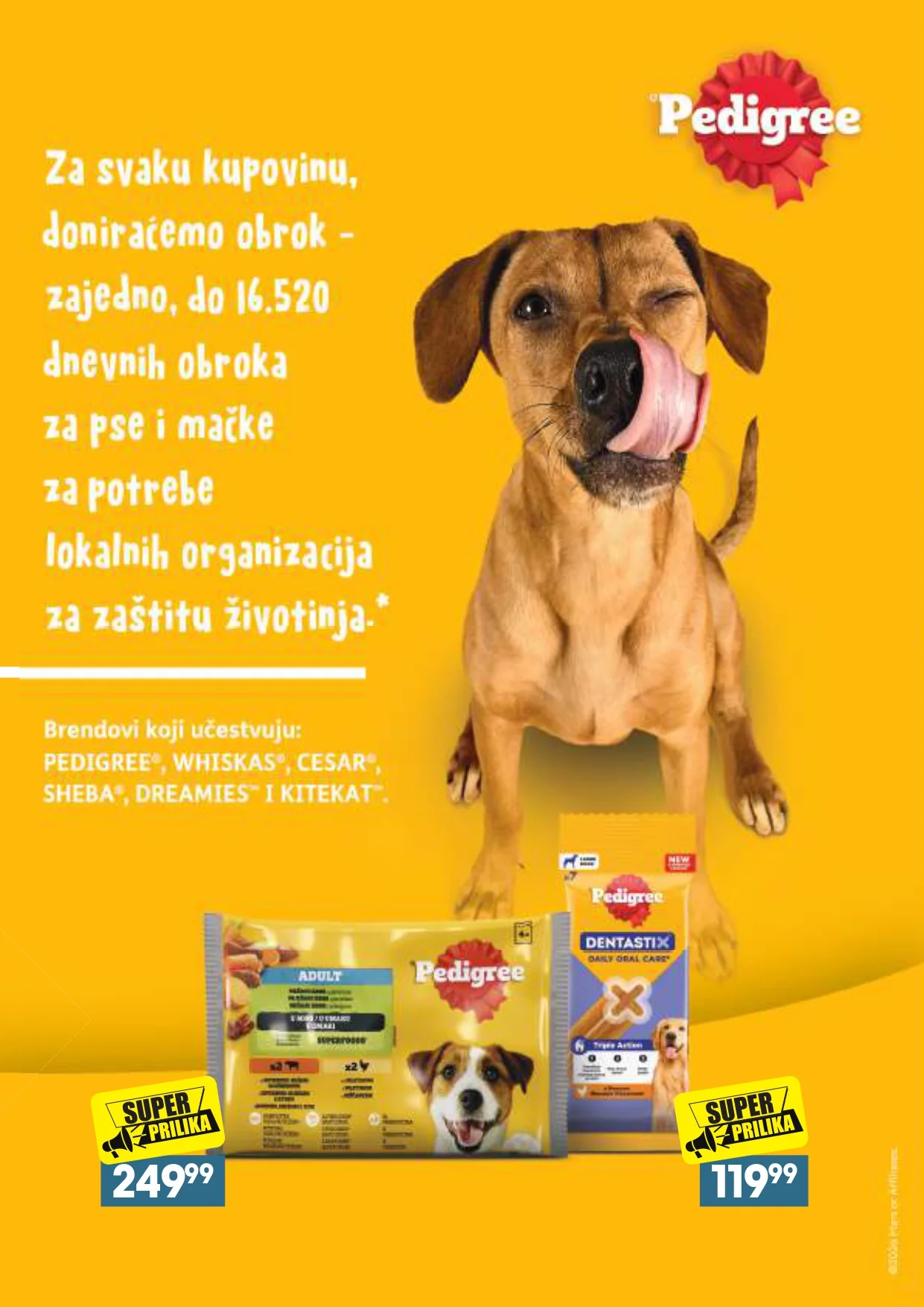 Roda & Idea katalog NEPREHRANA 28.9-24.10.2026. - str. 61