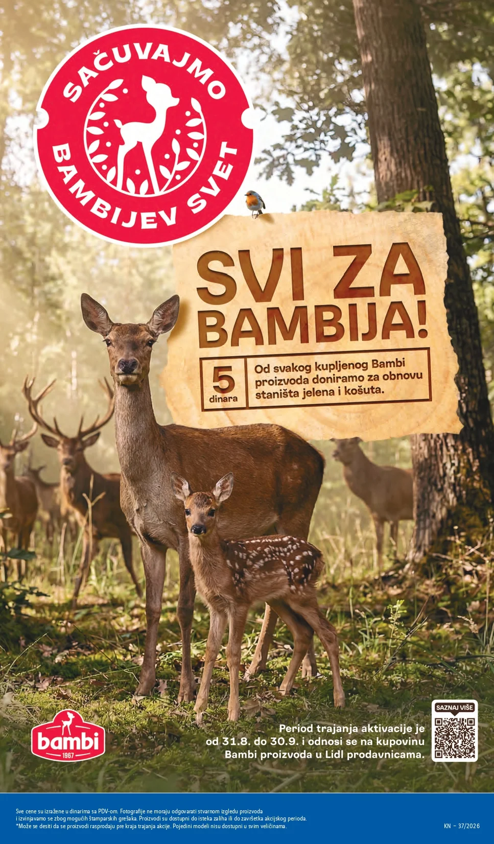 Lidl katalog 10-16.9.2026. - str. 53