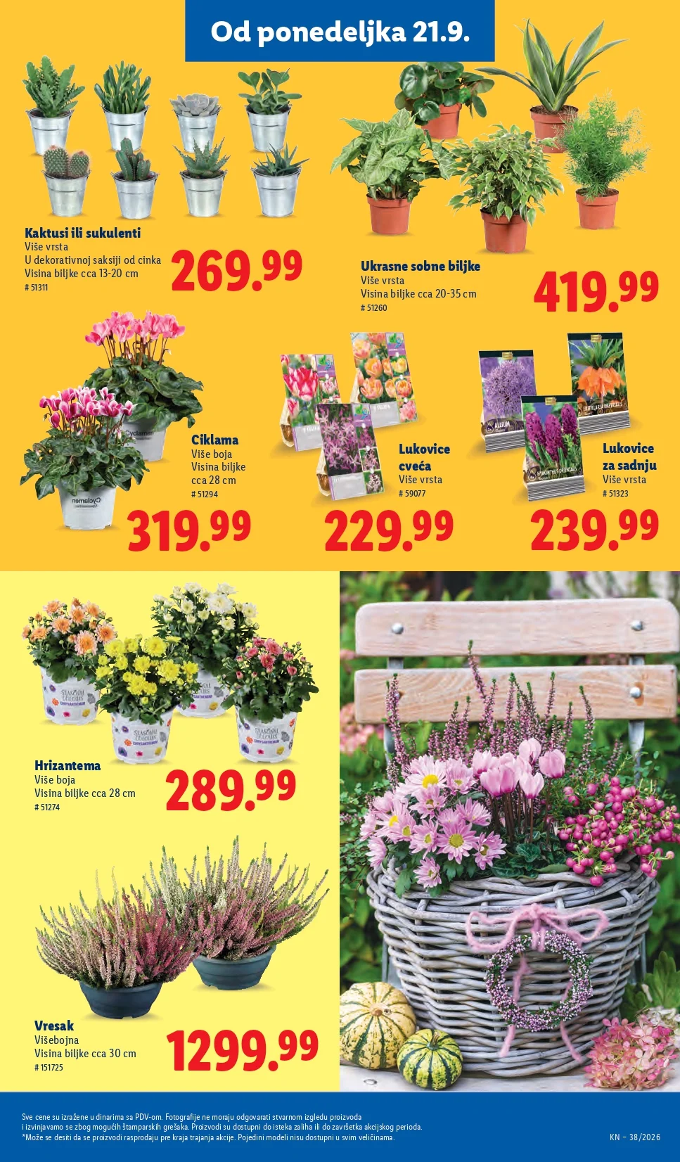 Lidl katalog 17-23.9.2026. - str. 59