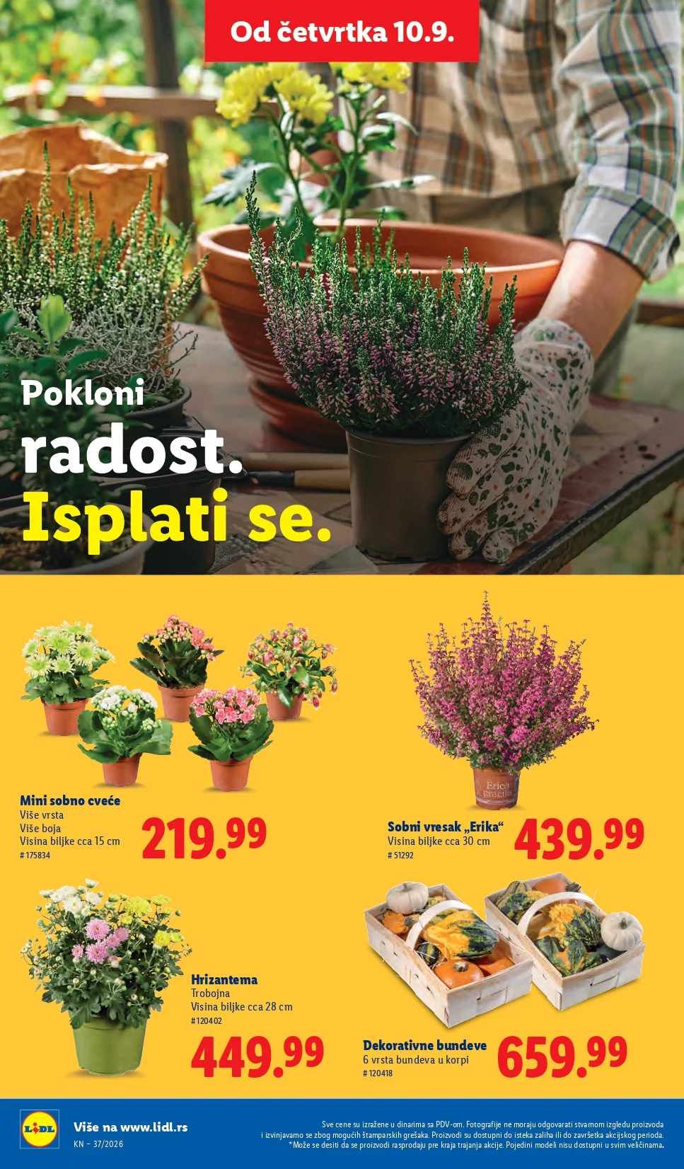 Lidl katalog 10-16.9.2026. - str. 60