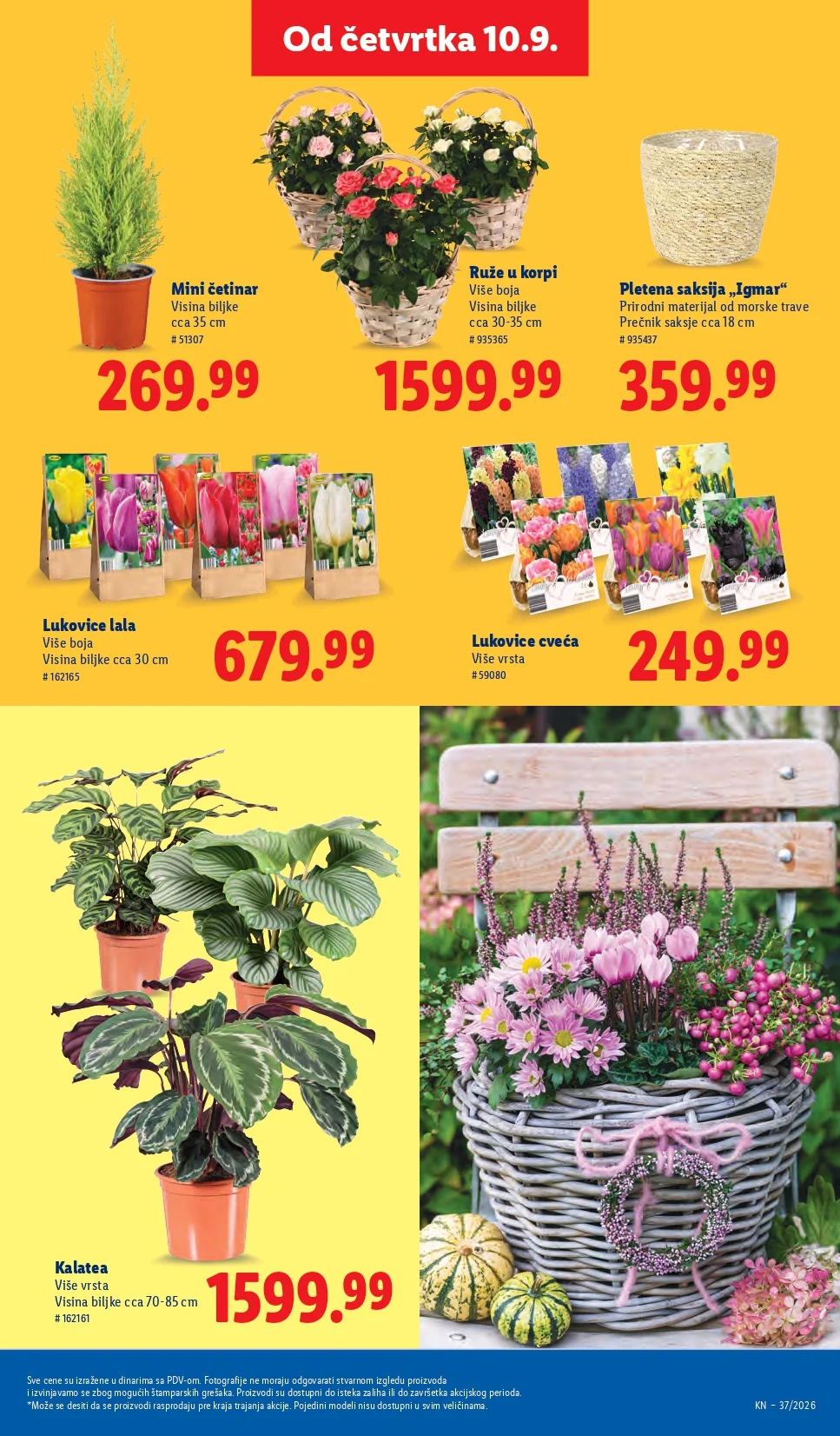Lidl katalog 10-16.9.2026. - str. 61