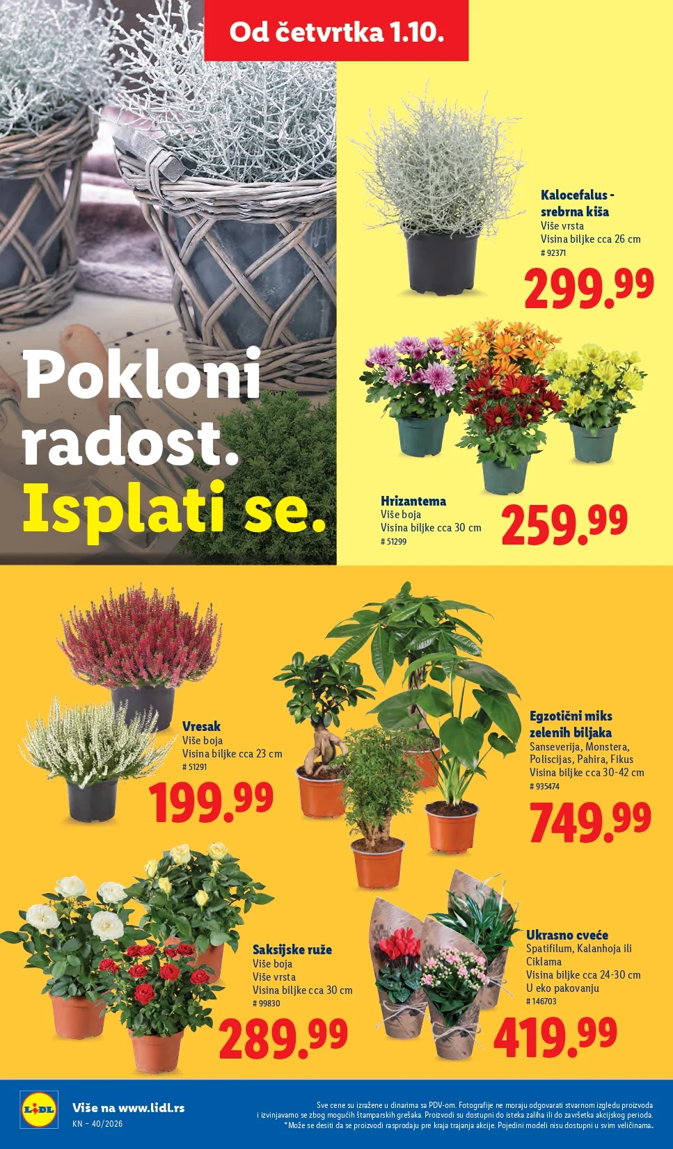 Lidl katalog 1-7.10.2026. - str. 68