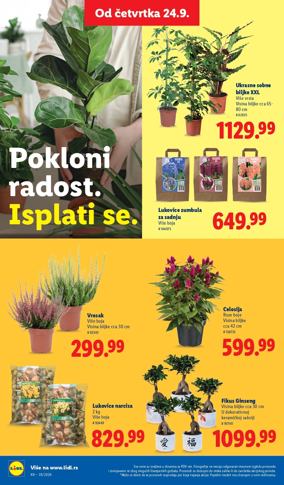 Lidl katalog 24-30.9.2026. - str. 64