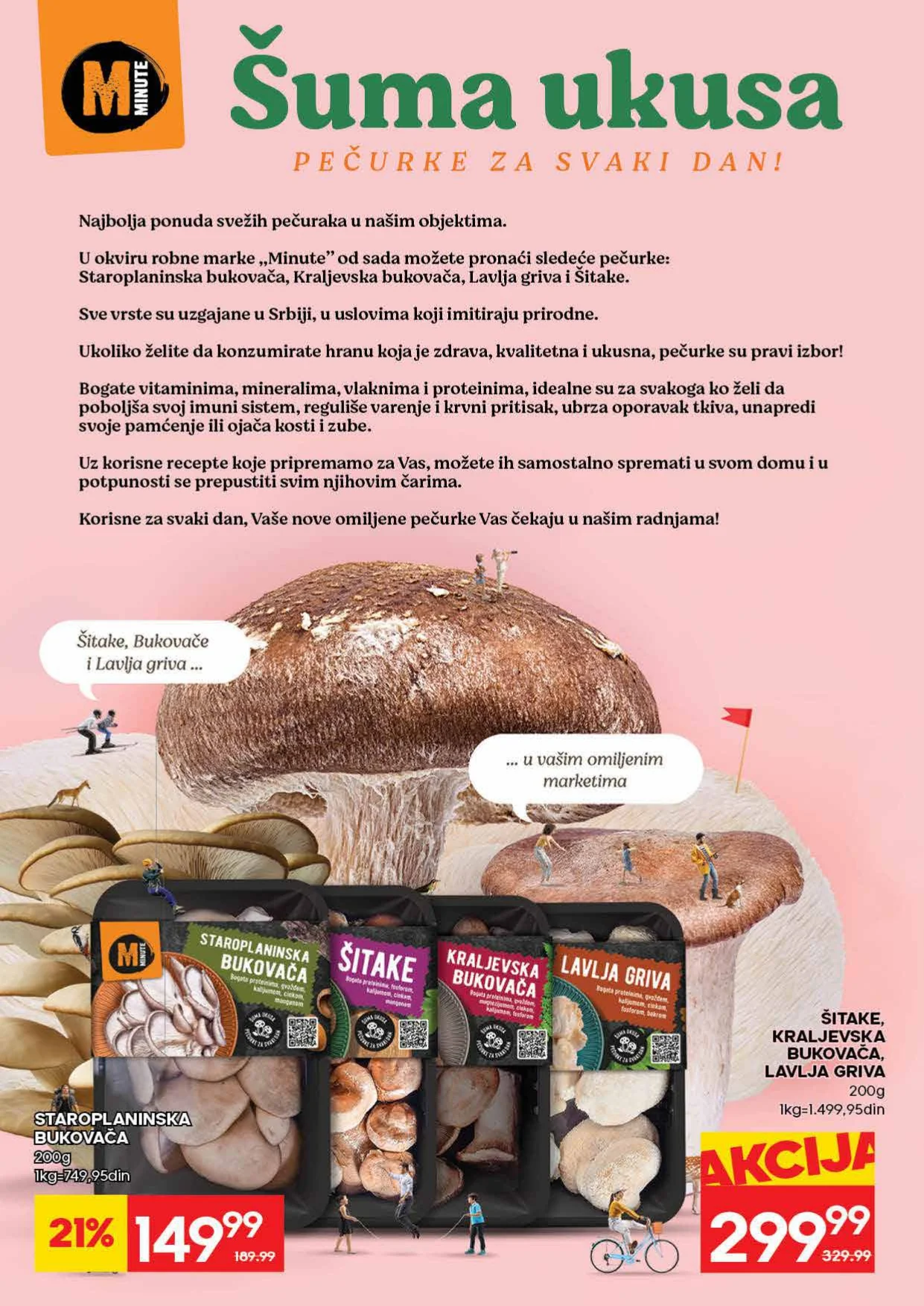 Roda katalog 14-27.9.2026. - str. 4