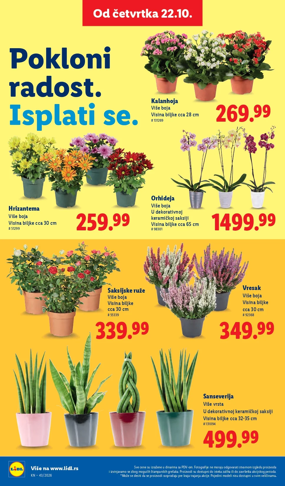 Lidl katalog 22-28.10.2026. - str. 70
