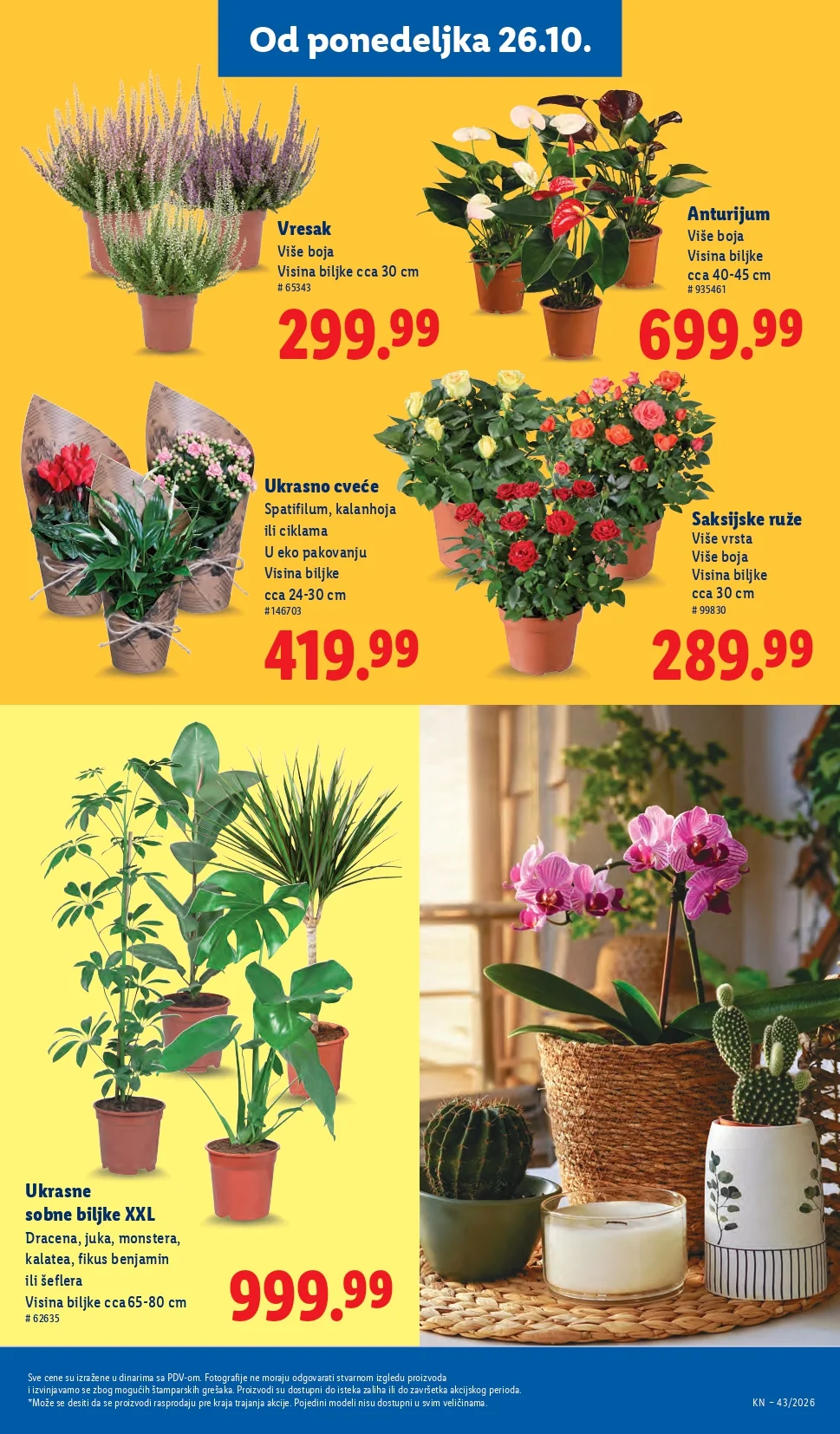 Lidl katalog 22-28.10.2026. - str. 71