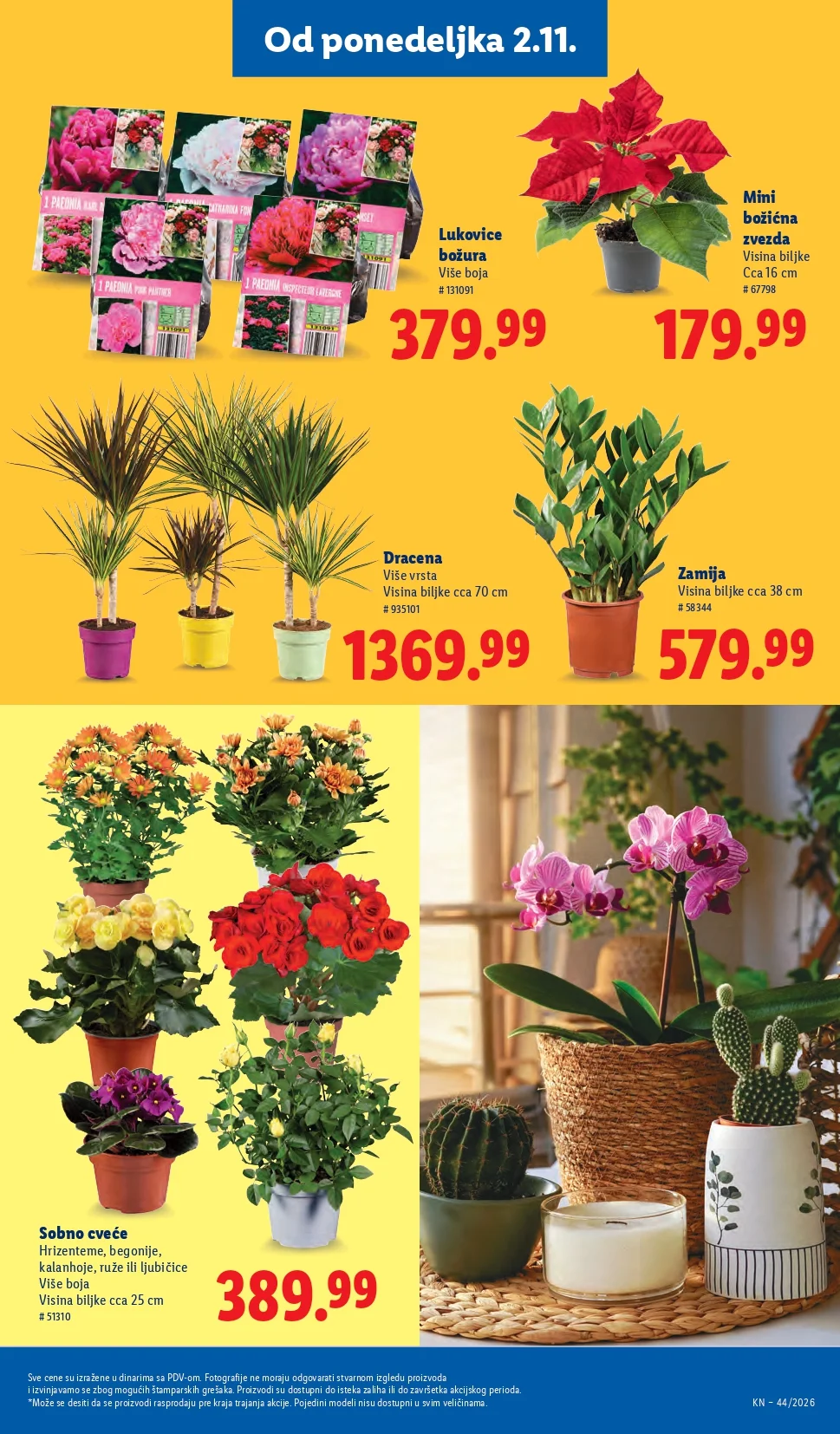 Lidl katalog 29.10-4.11.2026. - str. 73