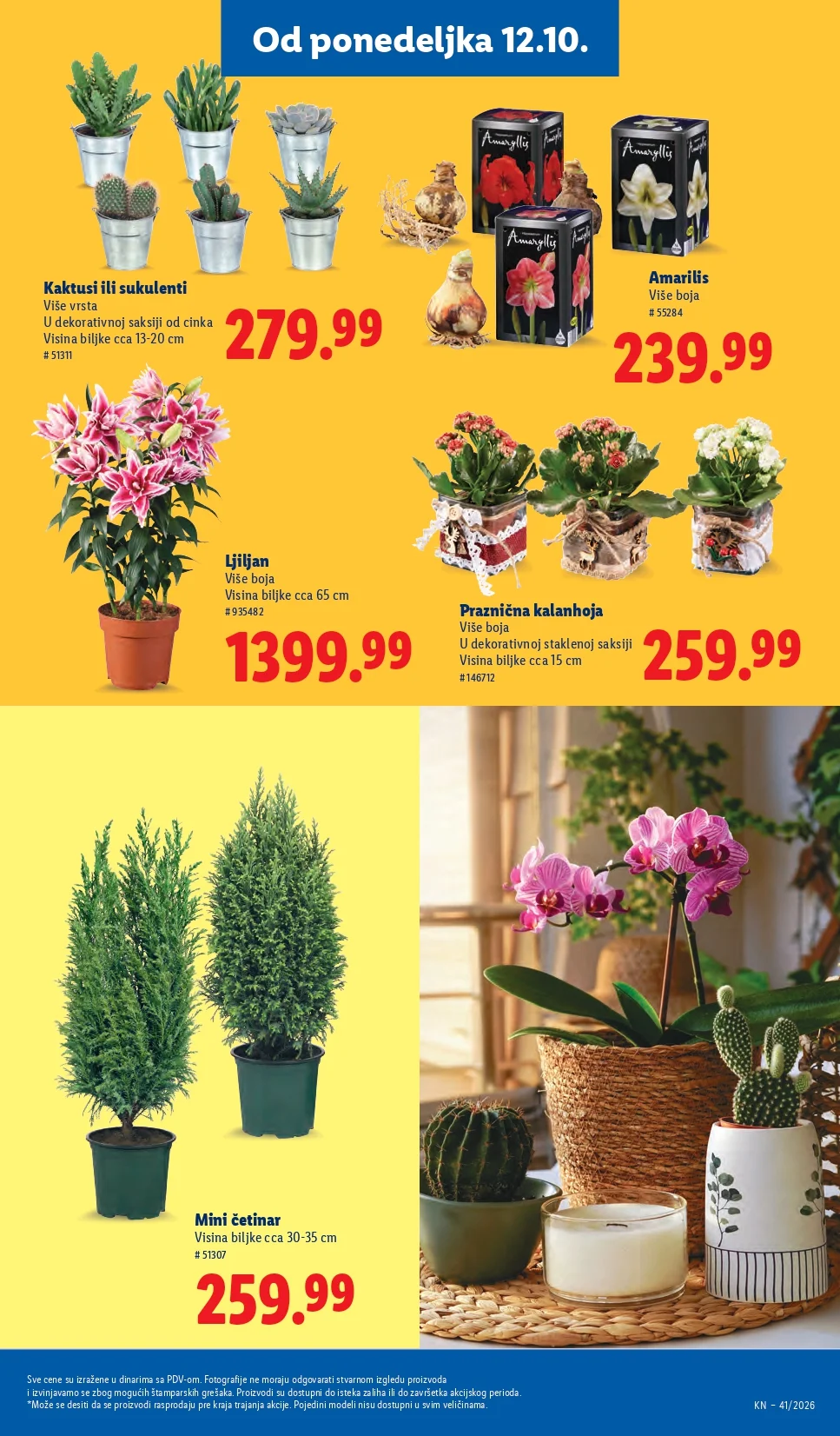 Lidl katalog 8-14.10.2026. - str. 75